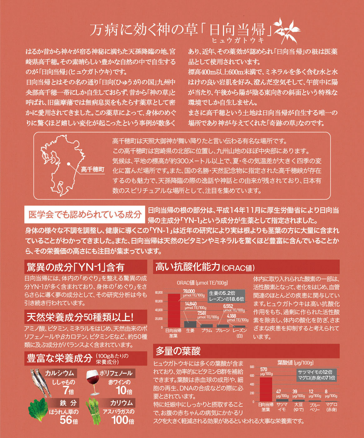 万病に効く神の草「日向当帰」